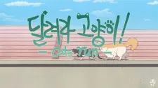 Cats Run