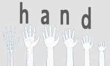 Hand