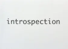 Introspection