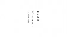 Saezuru Tori wa Habatakanai: The Storm Breaks