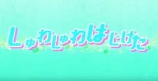 Shuwarin☆Dorimin